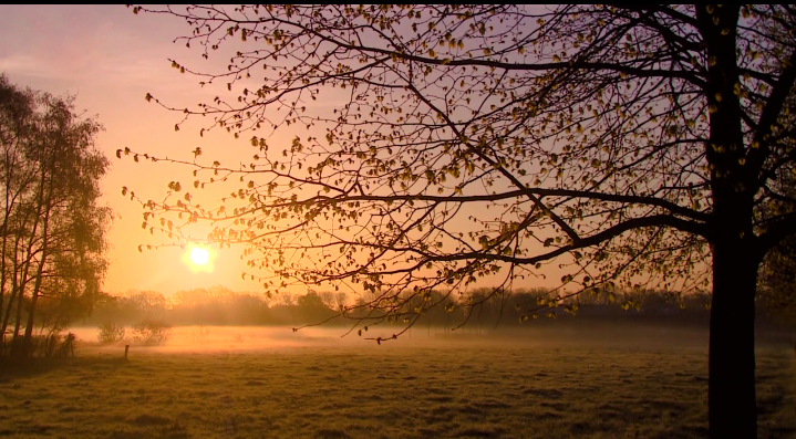 Zonsopkomst in Eindhoven, Noord-Brabant